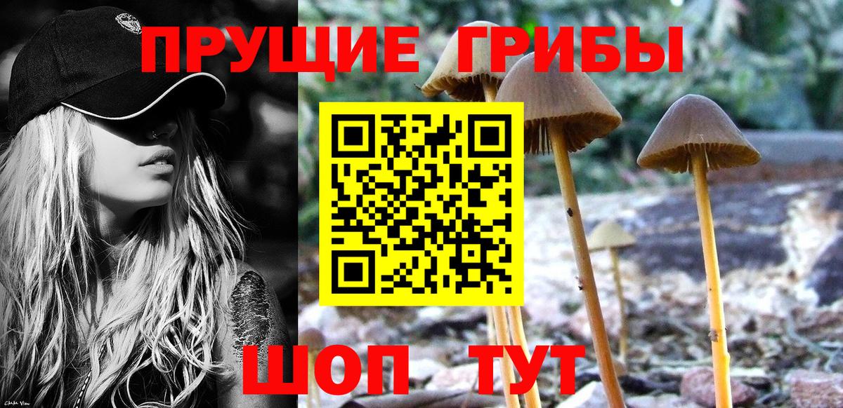 Галлюциногенные грибы ЛСД Дубна